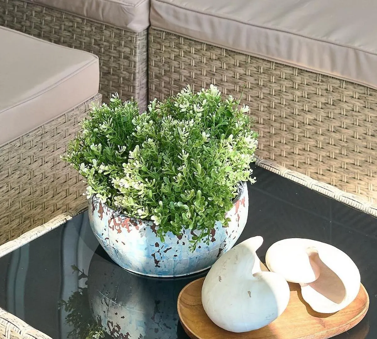 公寓 Jd Beachfront Pool 璜多里奥